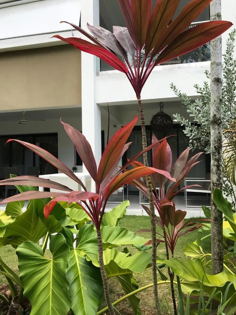 Appartement C5 Valcaoba Las Terrenas Dominicaanse Republiek